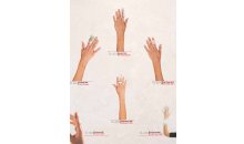 Parmak Atelleri
